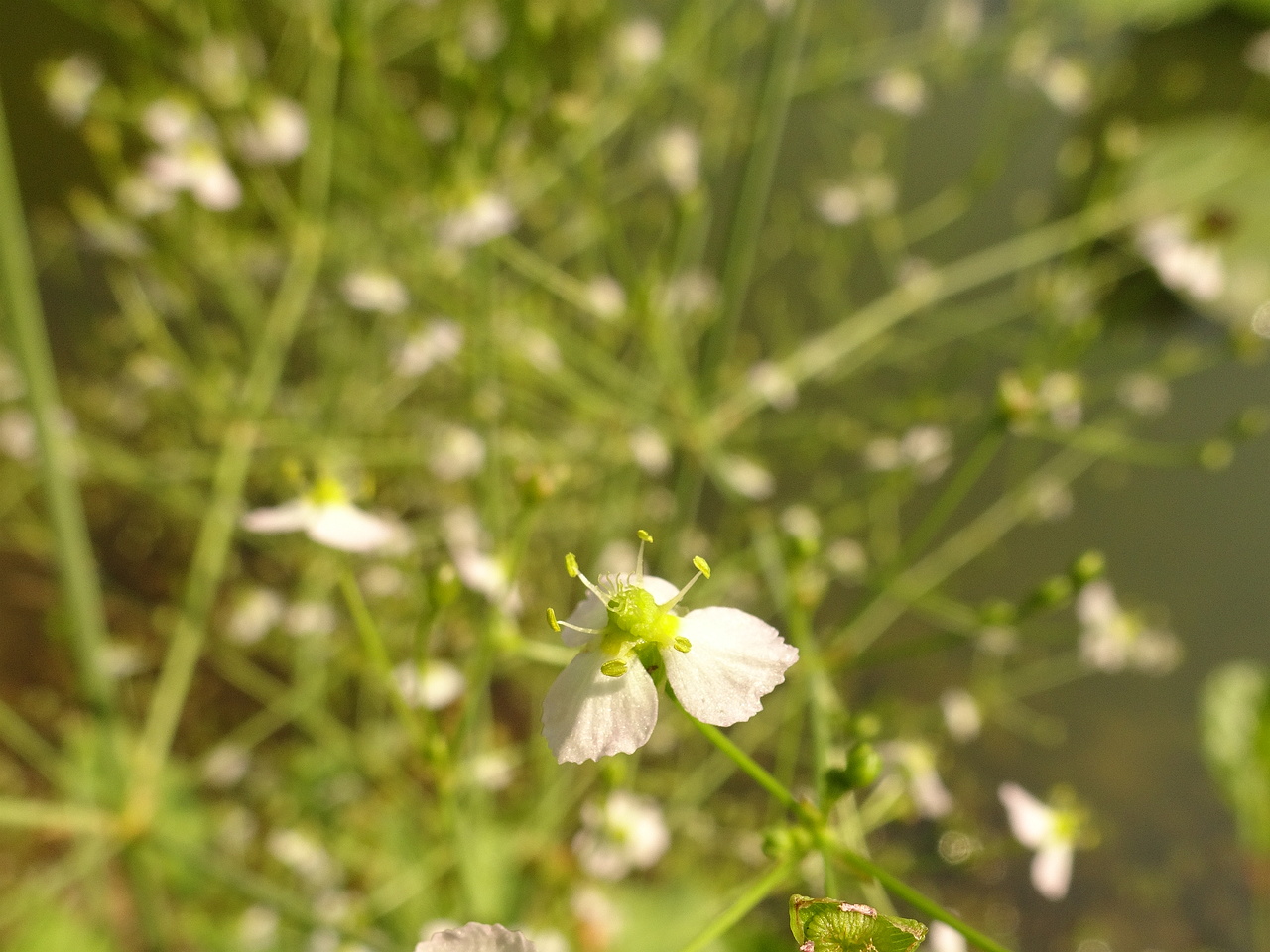 DSC05256