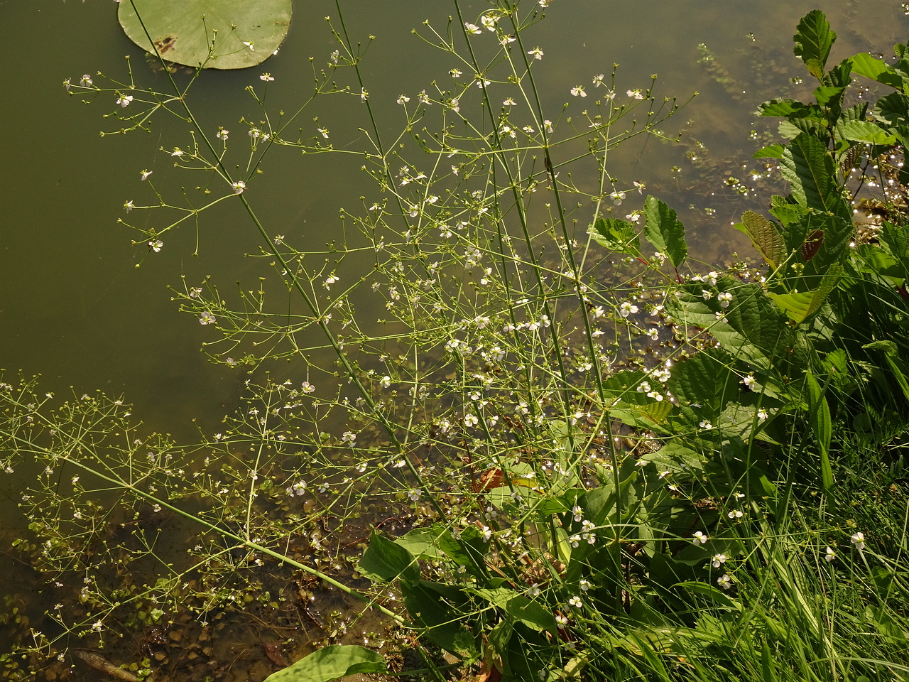 DSC05261