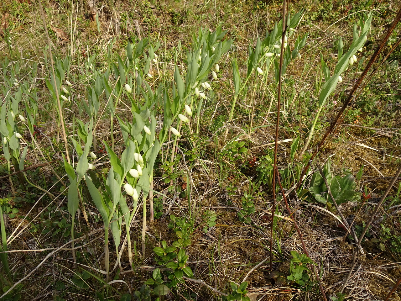 DSC06450