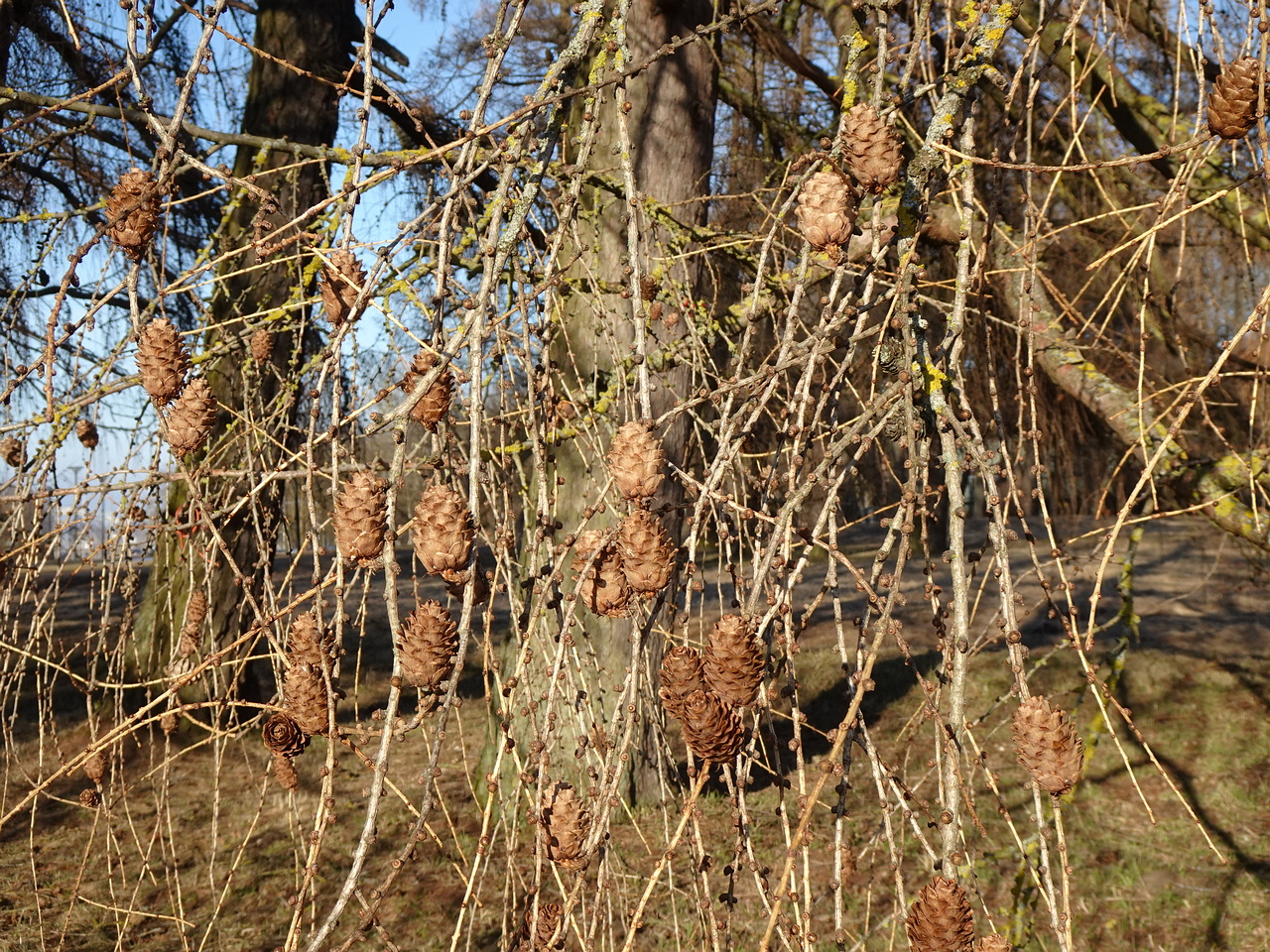 DSC00008
