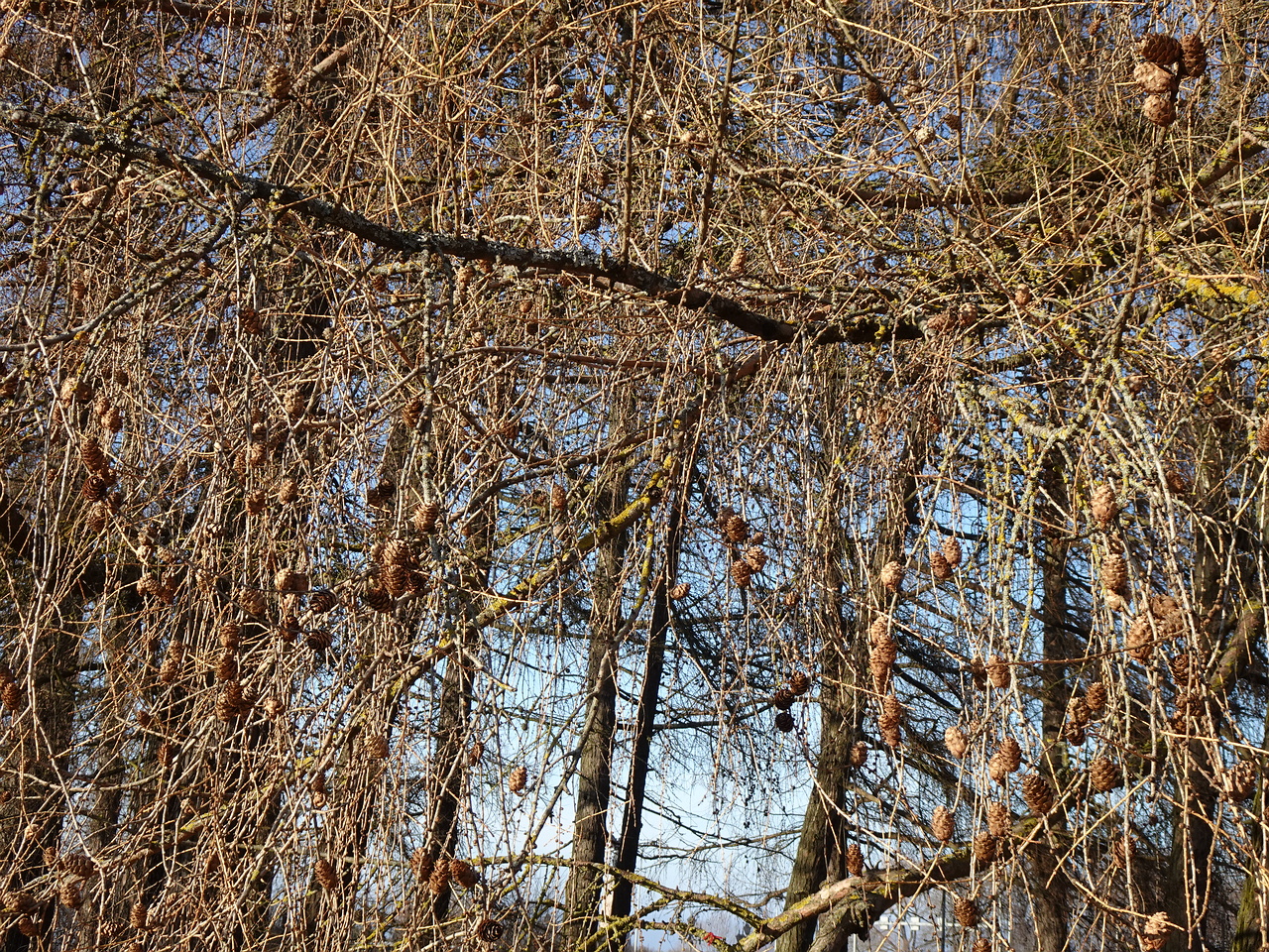 DSC00010