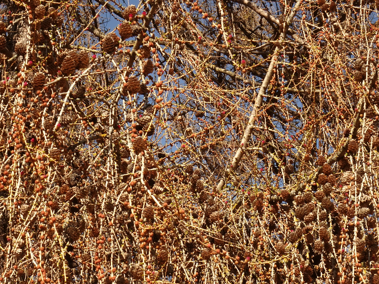 DSC00482