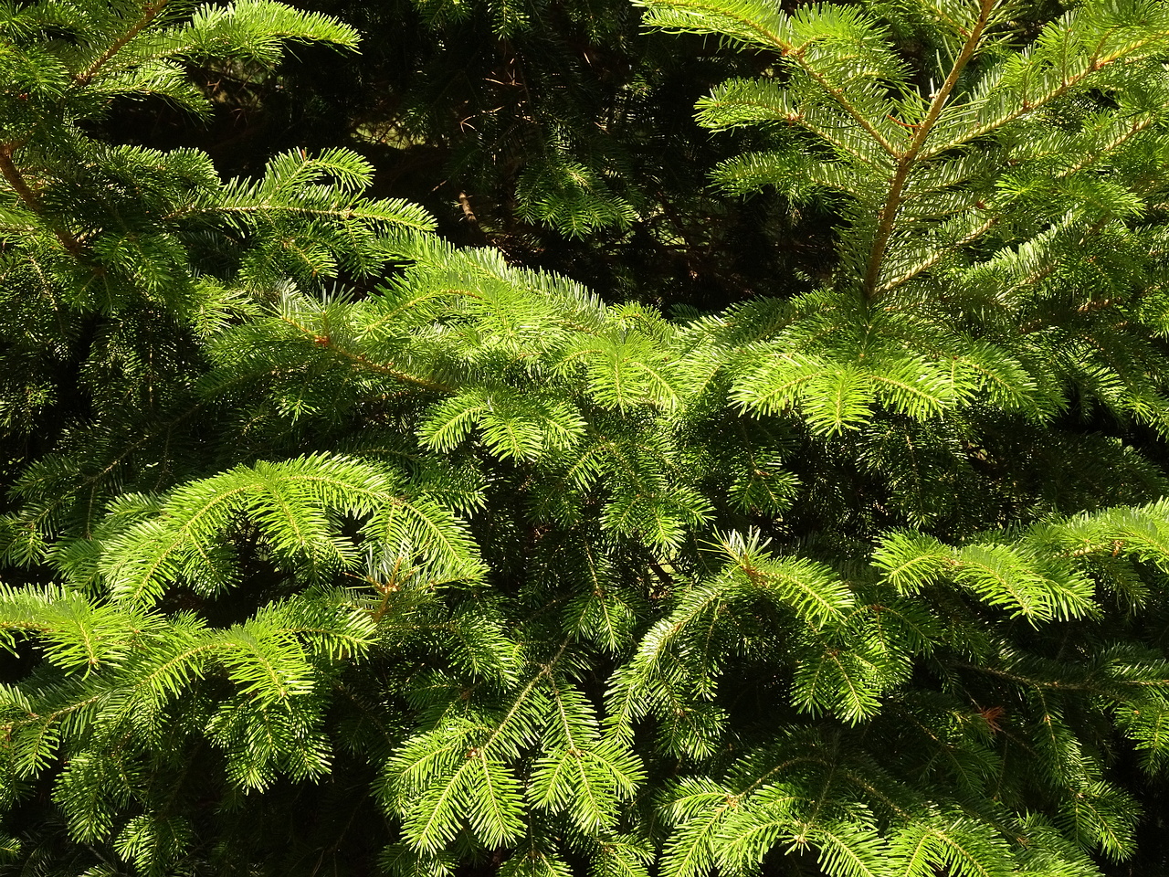 0DSC05226