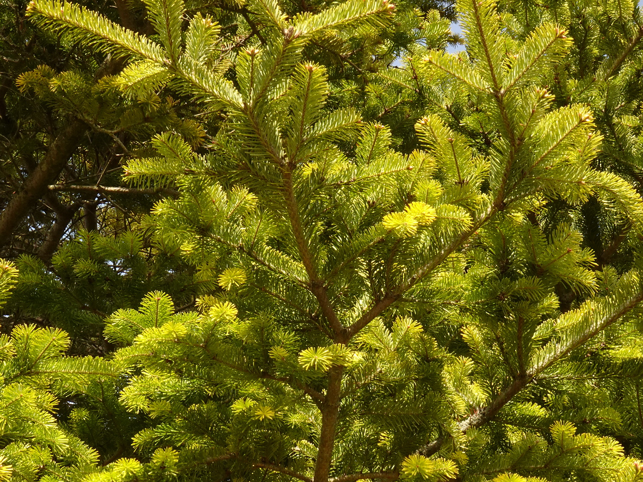 DSC01194